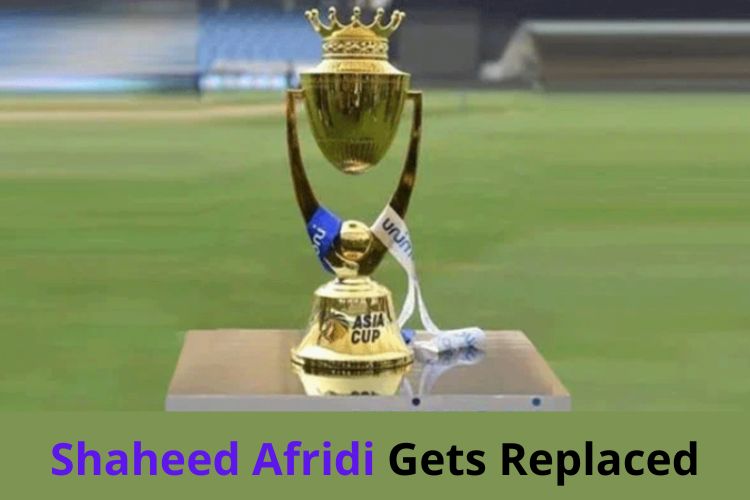 Pakistan Cricket Board Replaces Injured Shaheen Afridi Ahead of Asia Cup 2022 