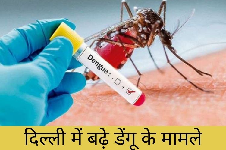 Dengue : इस साल 100 से ज्यादा डेंगू के केस सामने आए, जानिए पूरा मामला