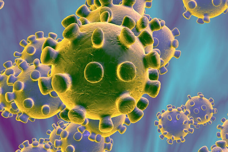 Covid Updates: India Logs 11,106 Fresh Cases 