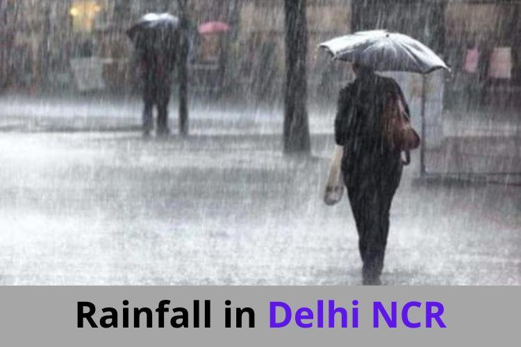 Weather Update: IMD Predicts Light Rainfall in Delhi NCR 
