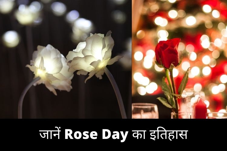  जानें Rose Day की अनसुनी कहानी, आखिर क्यों मनाया जाता है रोज डे, क्या है इतिहास