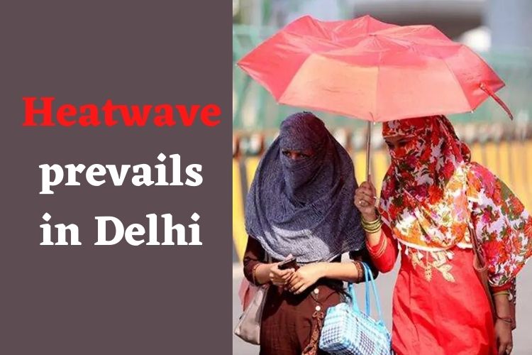Delhi NCR: Temperature Crosses 49 Degrees Celsius, IMD Predicts Thunderstorm 