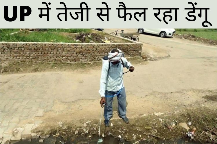 Uttar Pradesh: यूपी में डेंगू के 155 नए केस आये सामने,  जानिए कब तक खतरा रहेगा बरकरार