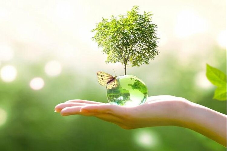 World Environment Day 2021
